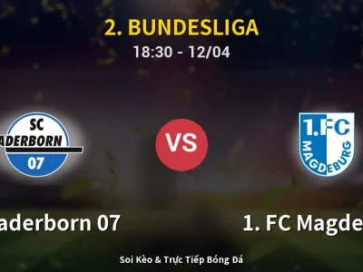 🔴 Trực Tiếp: SC Paderborn 07 3-2 1. FC Magdeburg – Link Xem 2. Bundesliga (Full HD)