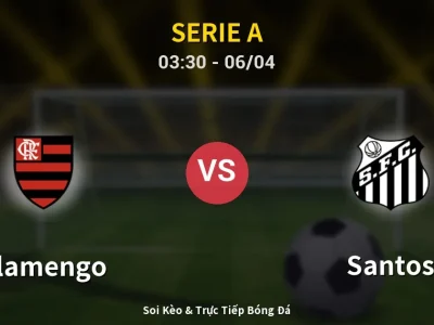 Kết Quả: Flamengo 3-1 Santos – Highlight & Bàn Thắng | Serie A