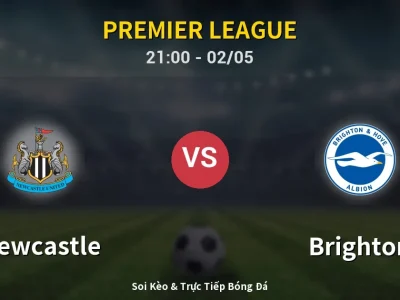 Soi Kèo Newcastle vs Brighton – 21:00 02/05 | Nhận Định, Dự Đoán Tỷ Số